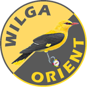 X Wilga Orient